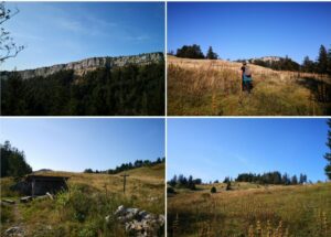 wandrungen bettlachstock unseco buchenwälder